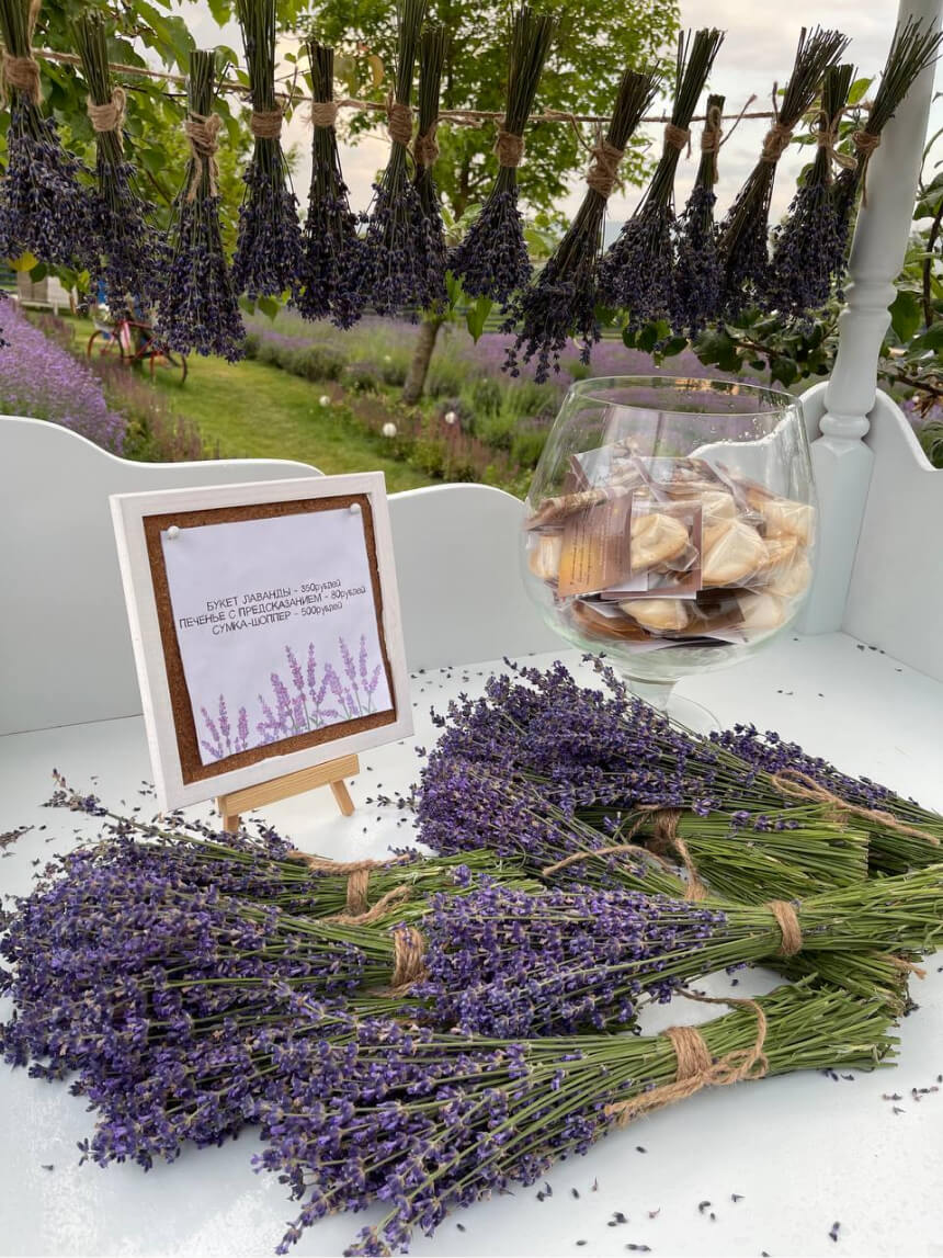 Букеты лаванды