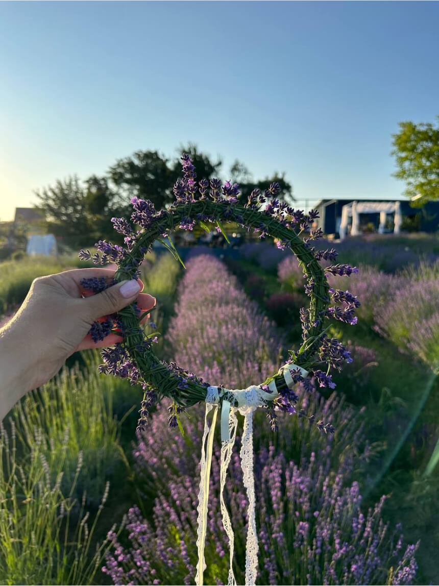 Венки из лаванды