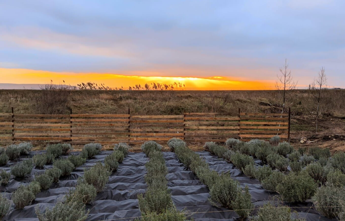 Где применяется геотекстиль
