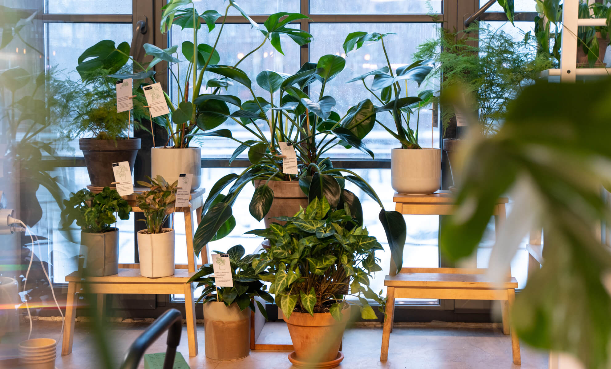 Цветочная мастерская