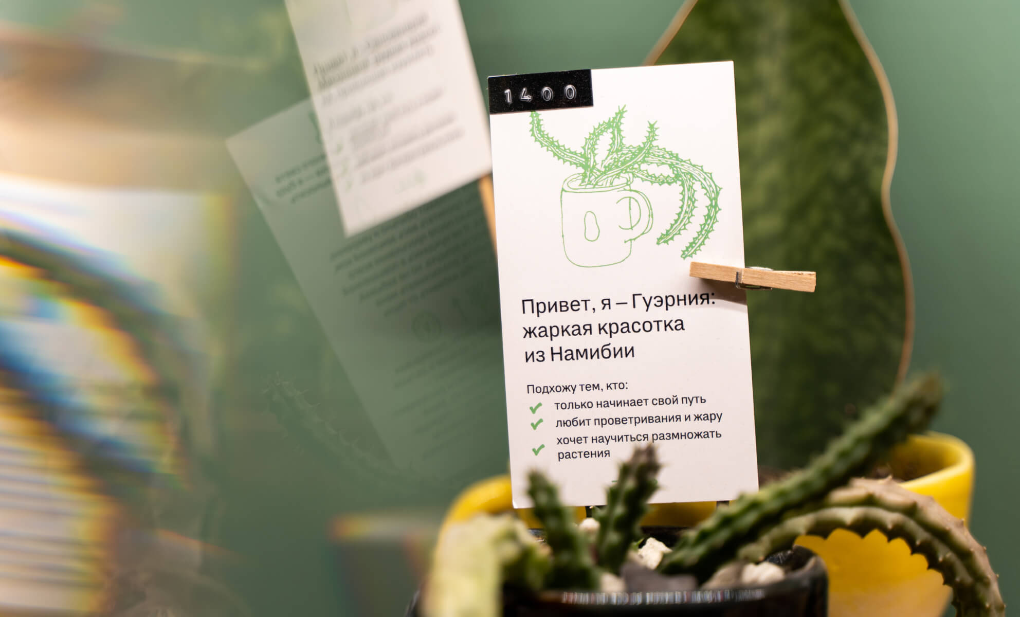 Карточки с описанием растений