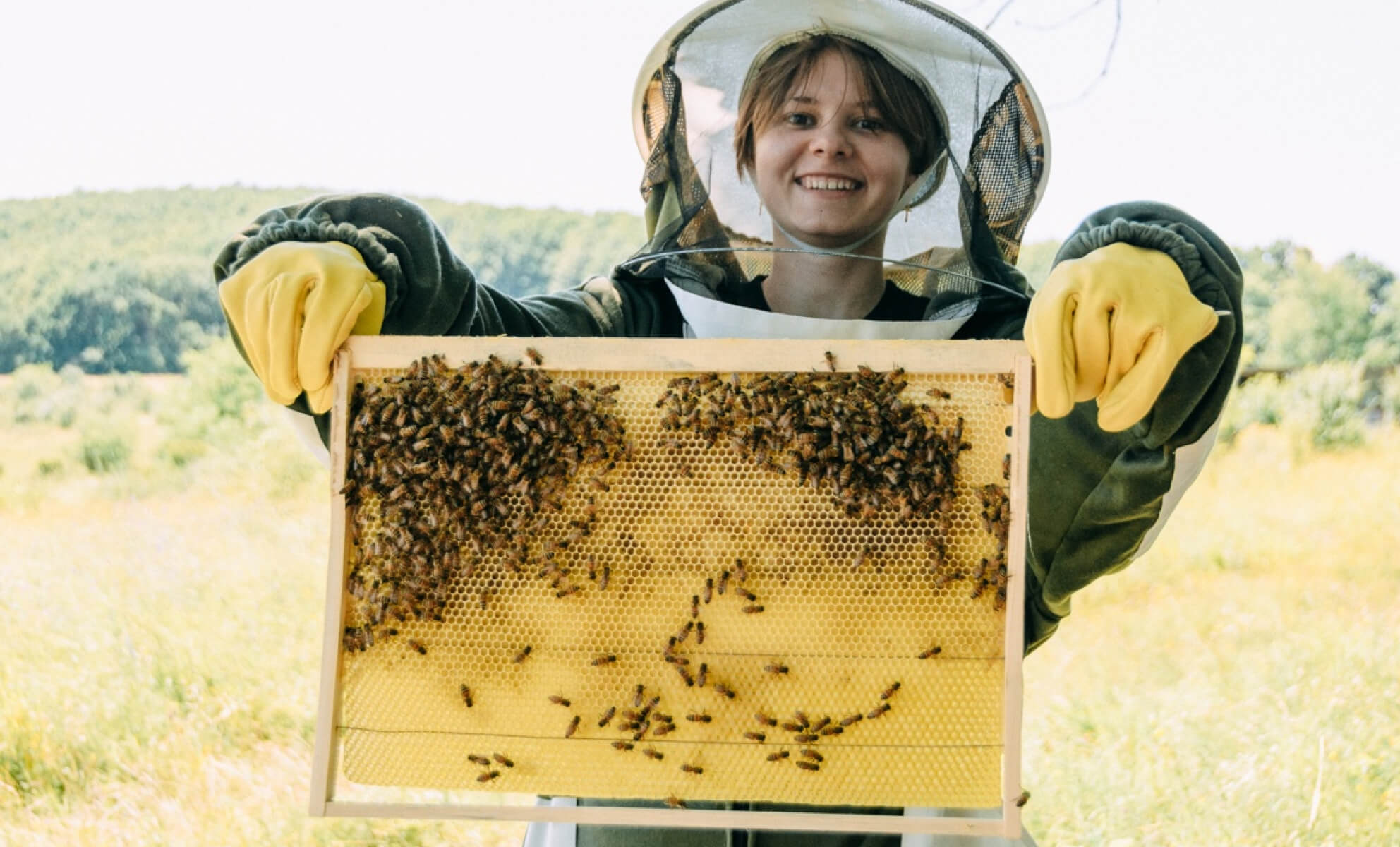 гости на пасеке