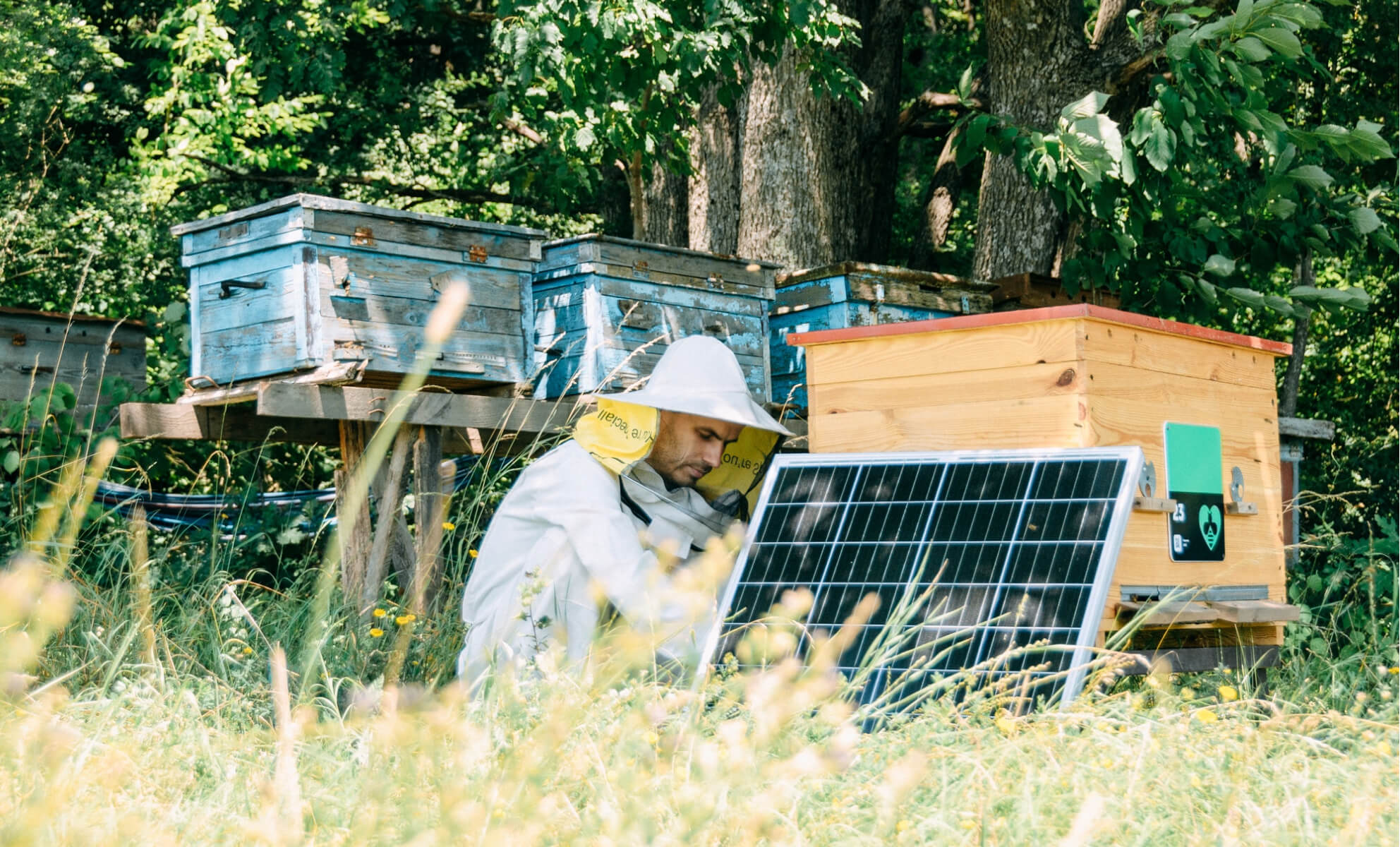 ремонт солнечных батарей на пасеке