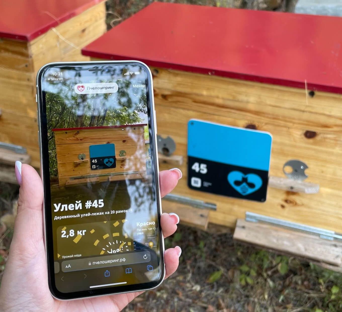 как купить улей