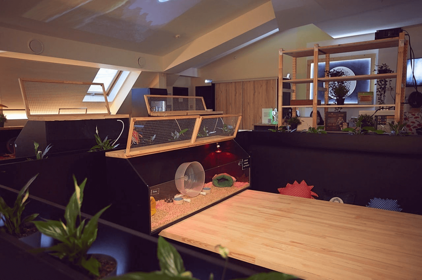 Антикафе «Ежеминутка»