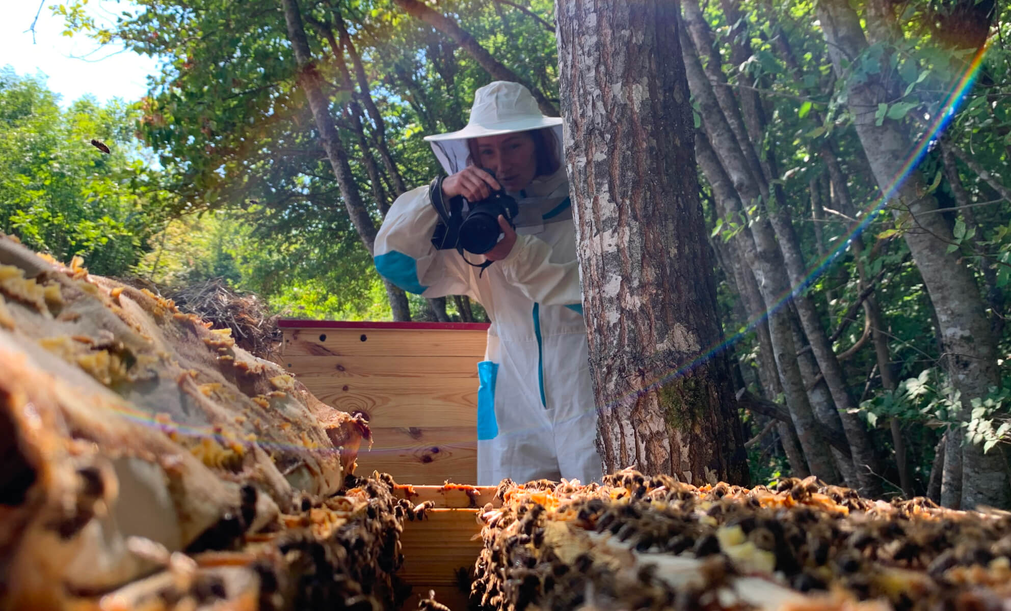 фотограф на пасеке