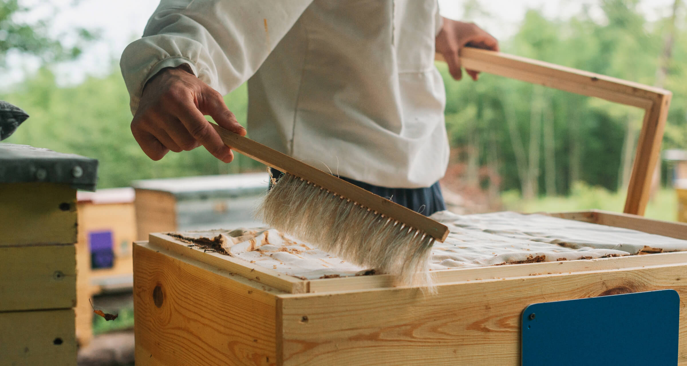 Как придумывать новые модели продаж в консервативной нише: опыт сервиса «Пчелошеринг»