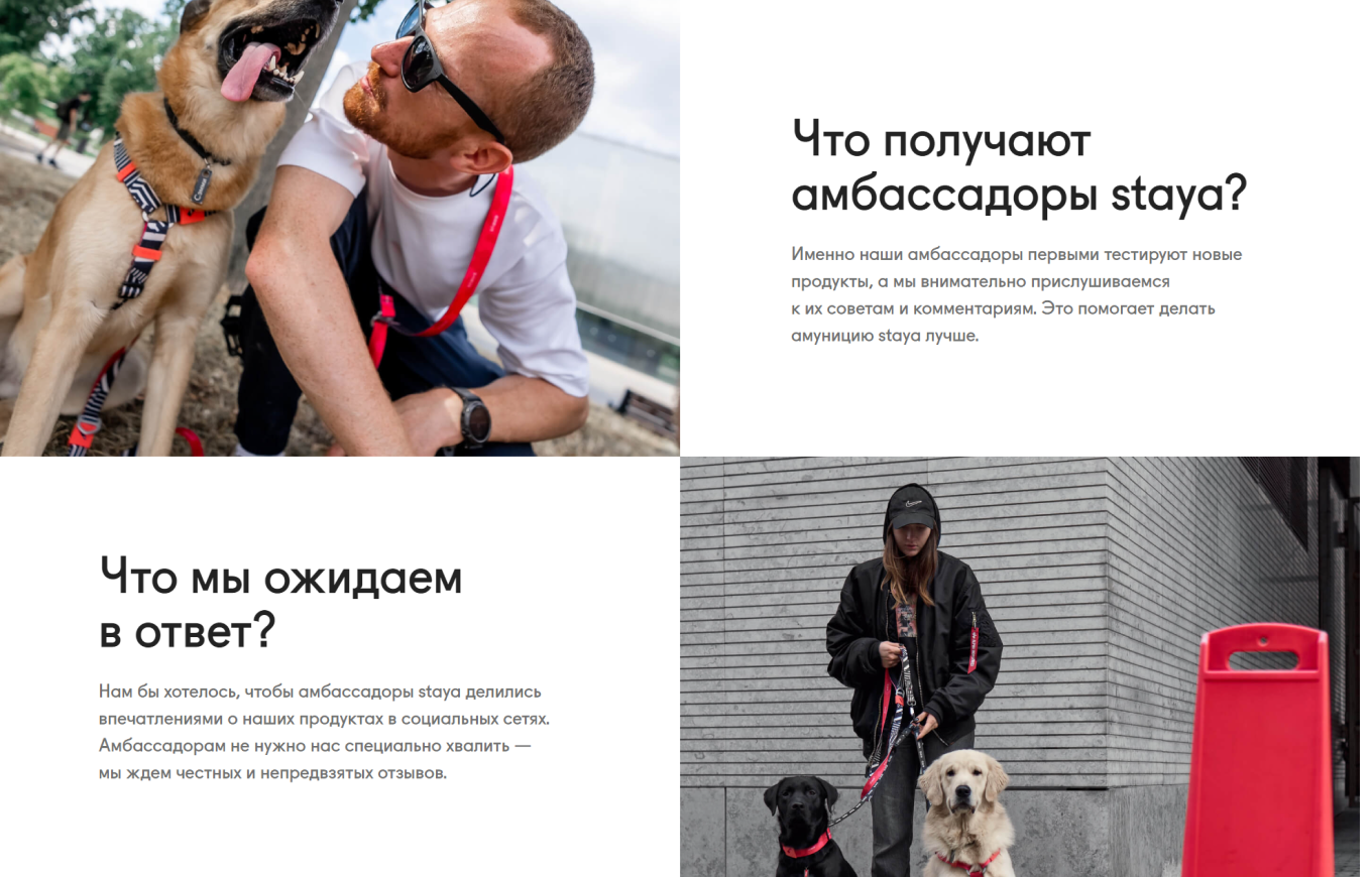 амбассадорская программа