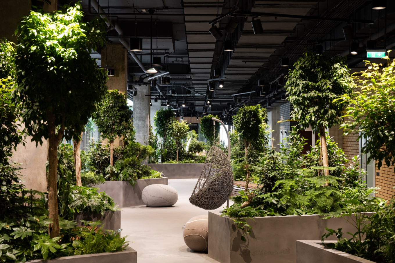 парк в офисе компании Joom