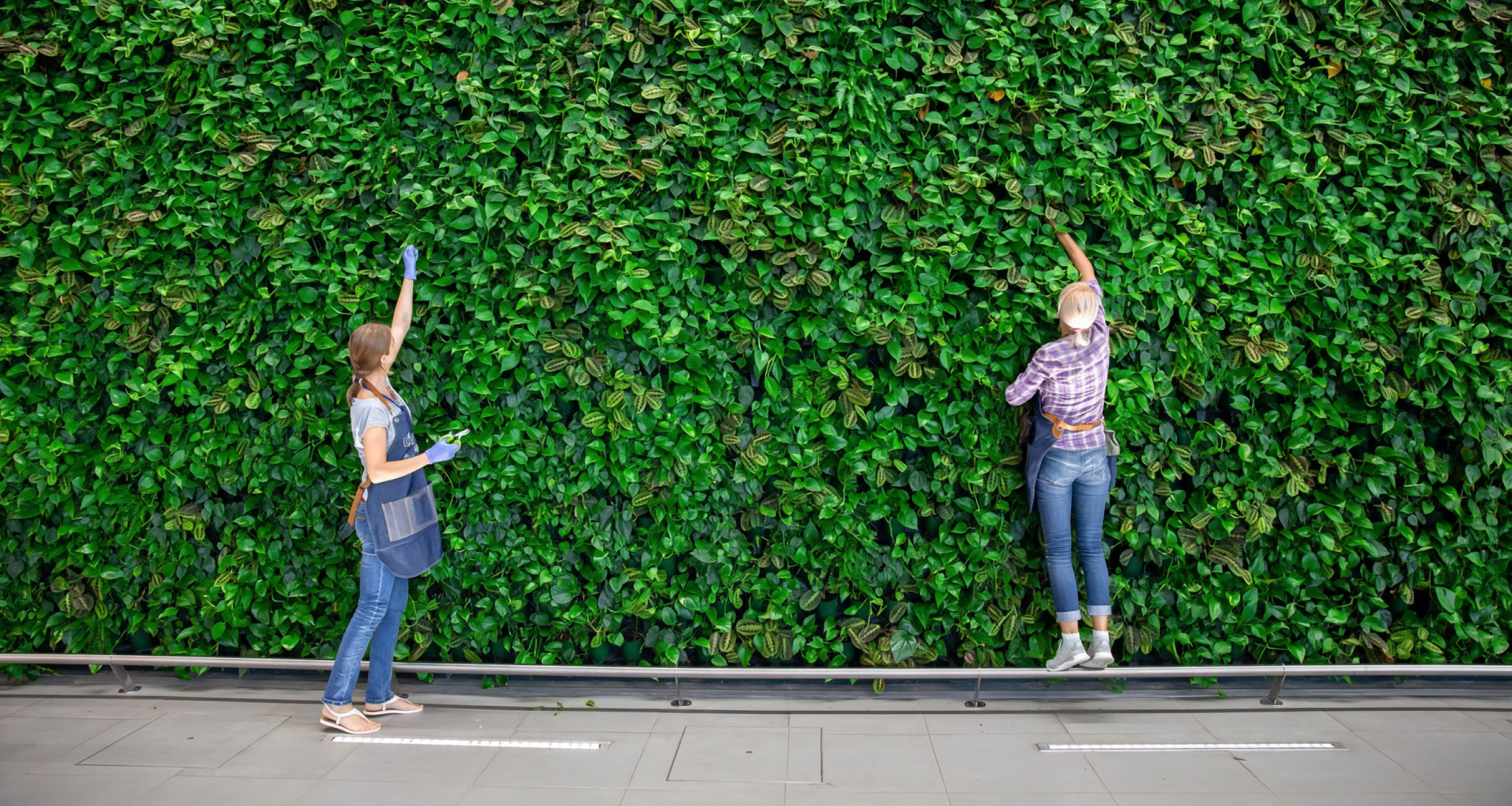 Как остановить текучку кадров и справиться с внутренним кризисом в компании. Опыт Фикуса