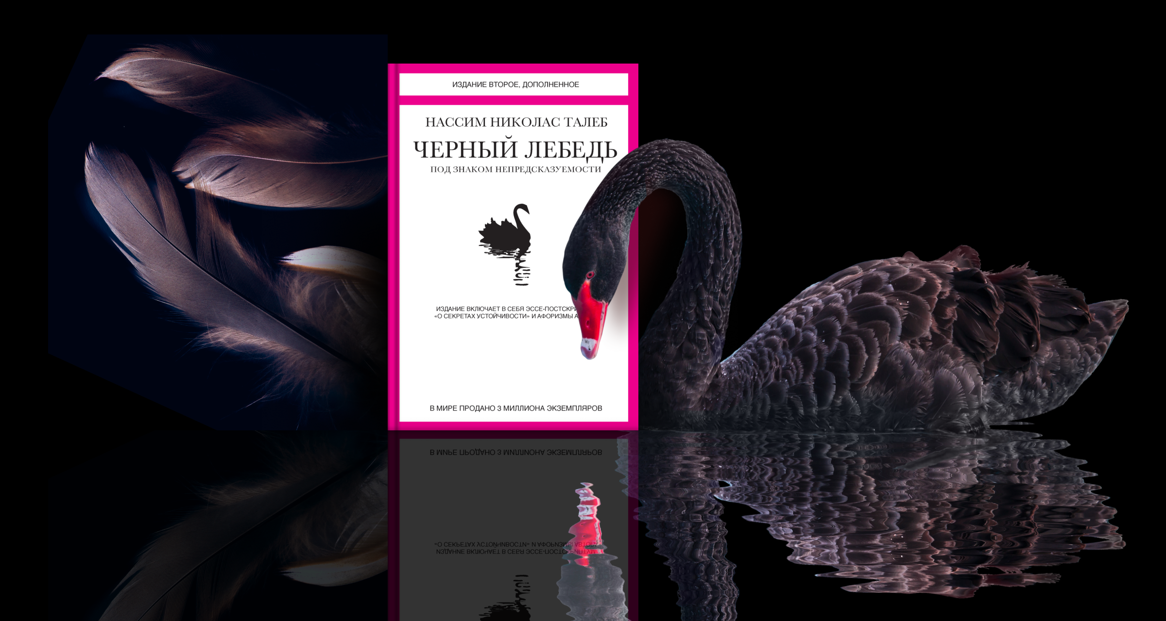Нассим Талеб, «Черный лебедь»: три ошибки в мышлении, которые могут погубить бизнес