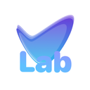 VibeLab 