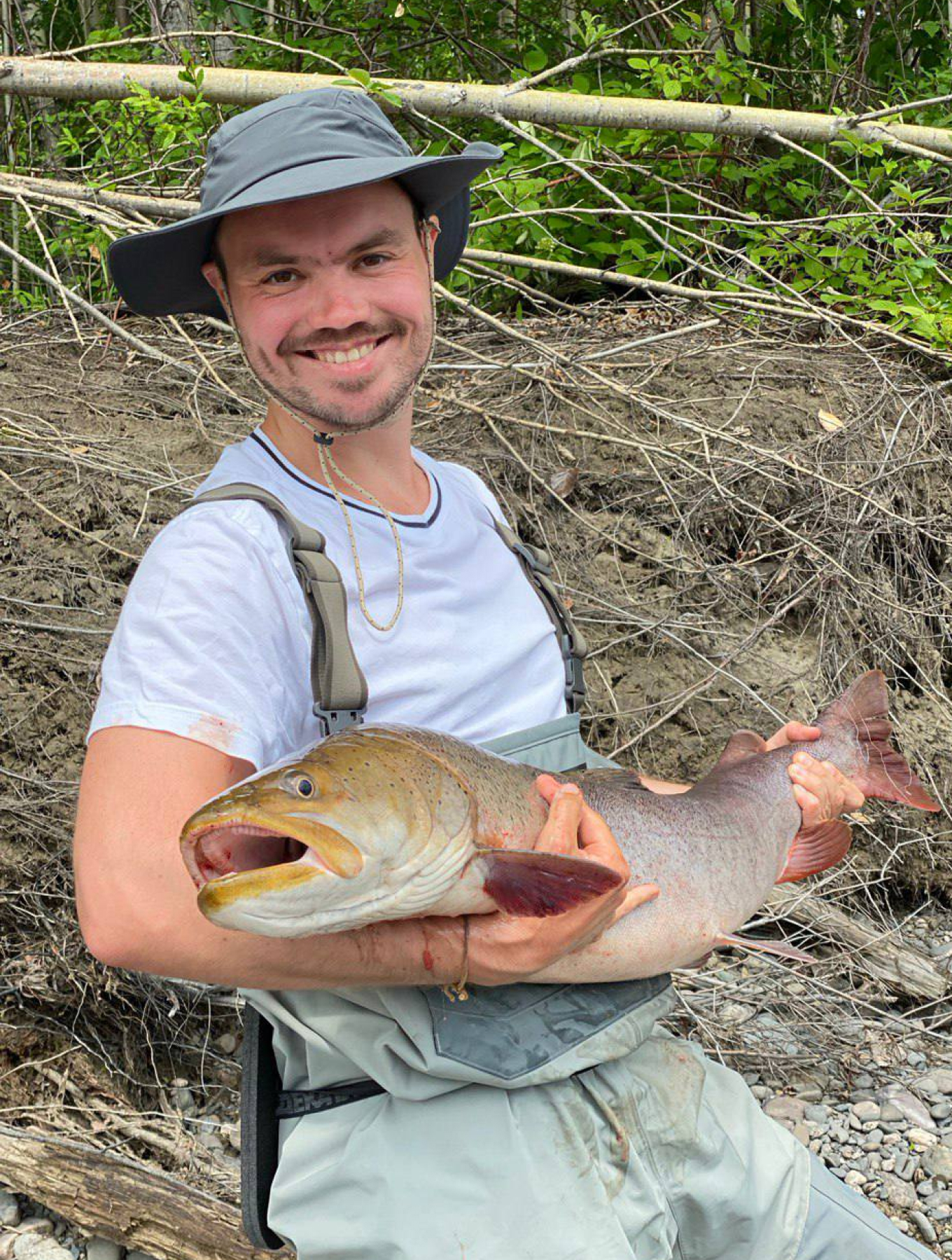 Тайменей отпускаем после улова