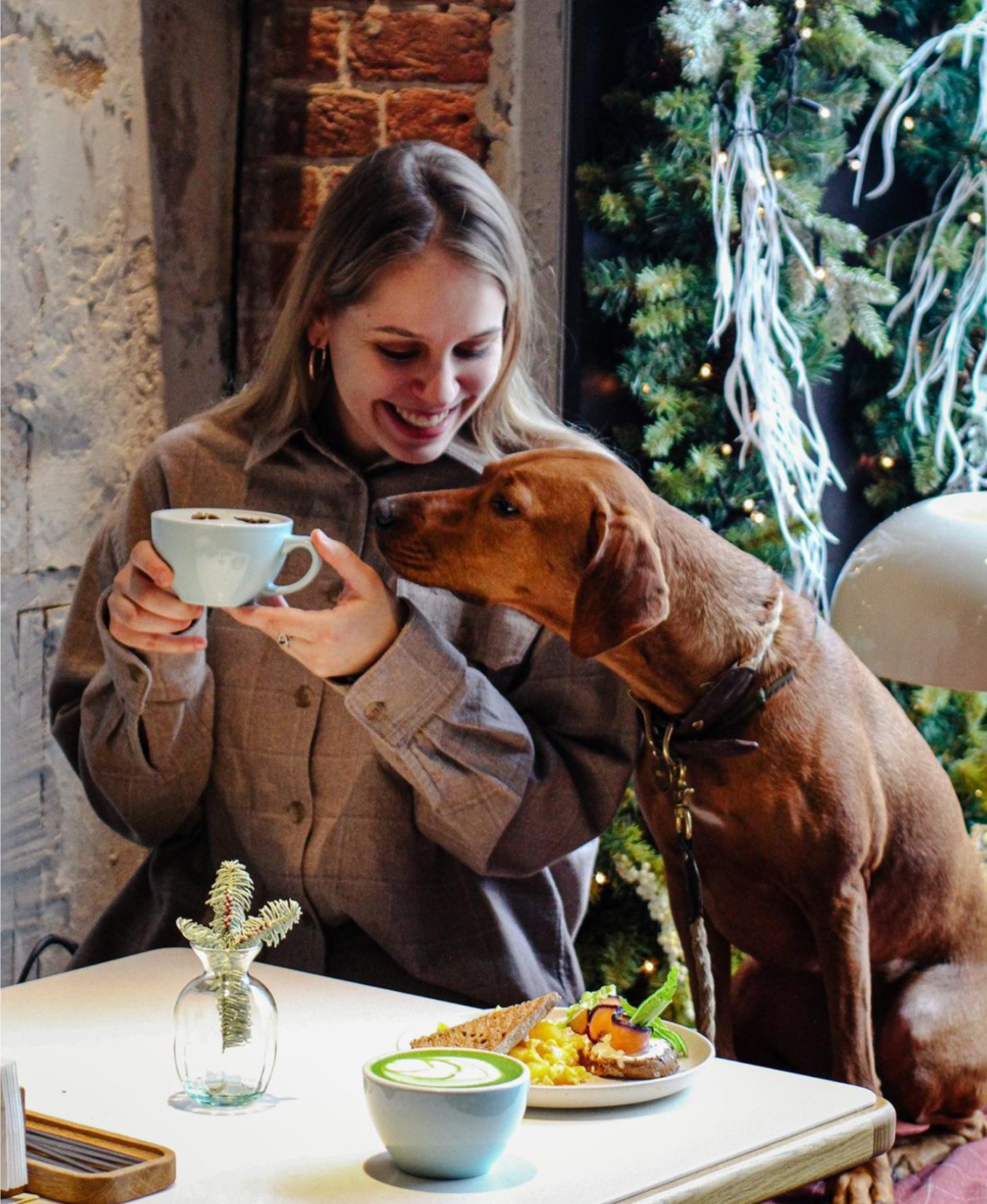 В московском кафе Touch of Matcha для собаки принесут подстилку