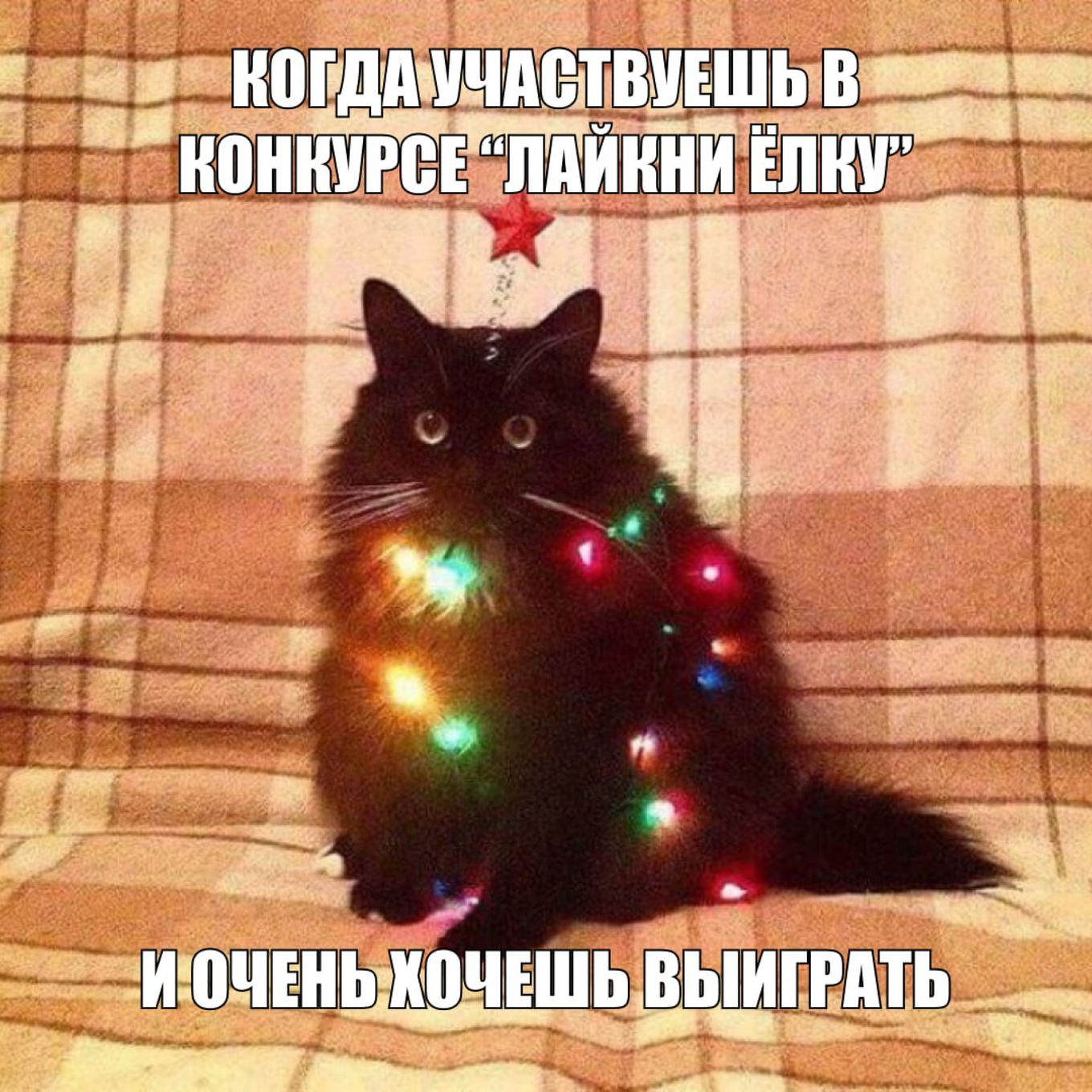 Мемы от наших участников