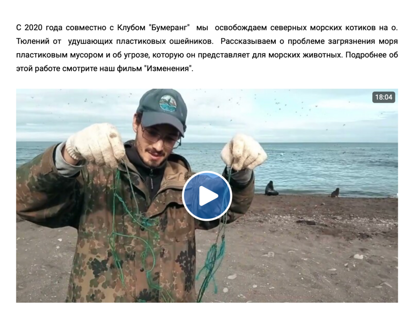 Скрин видео-презентации проекта