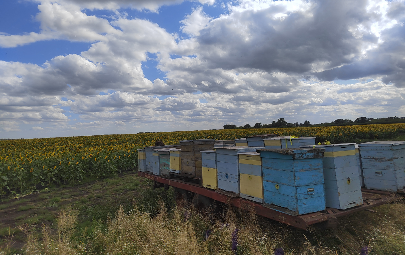 Промышленное опыление