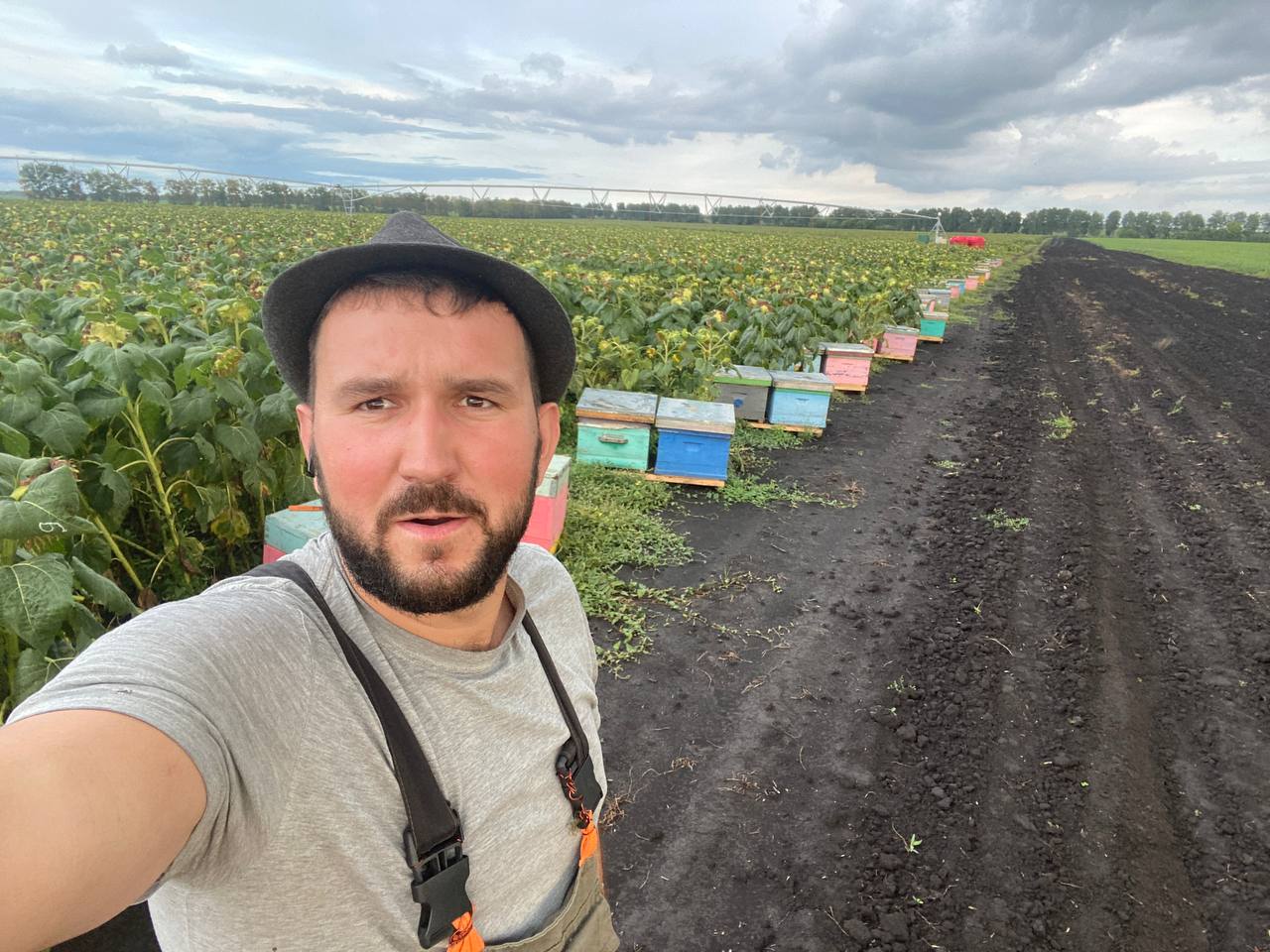 Промышленное опыление полей