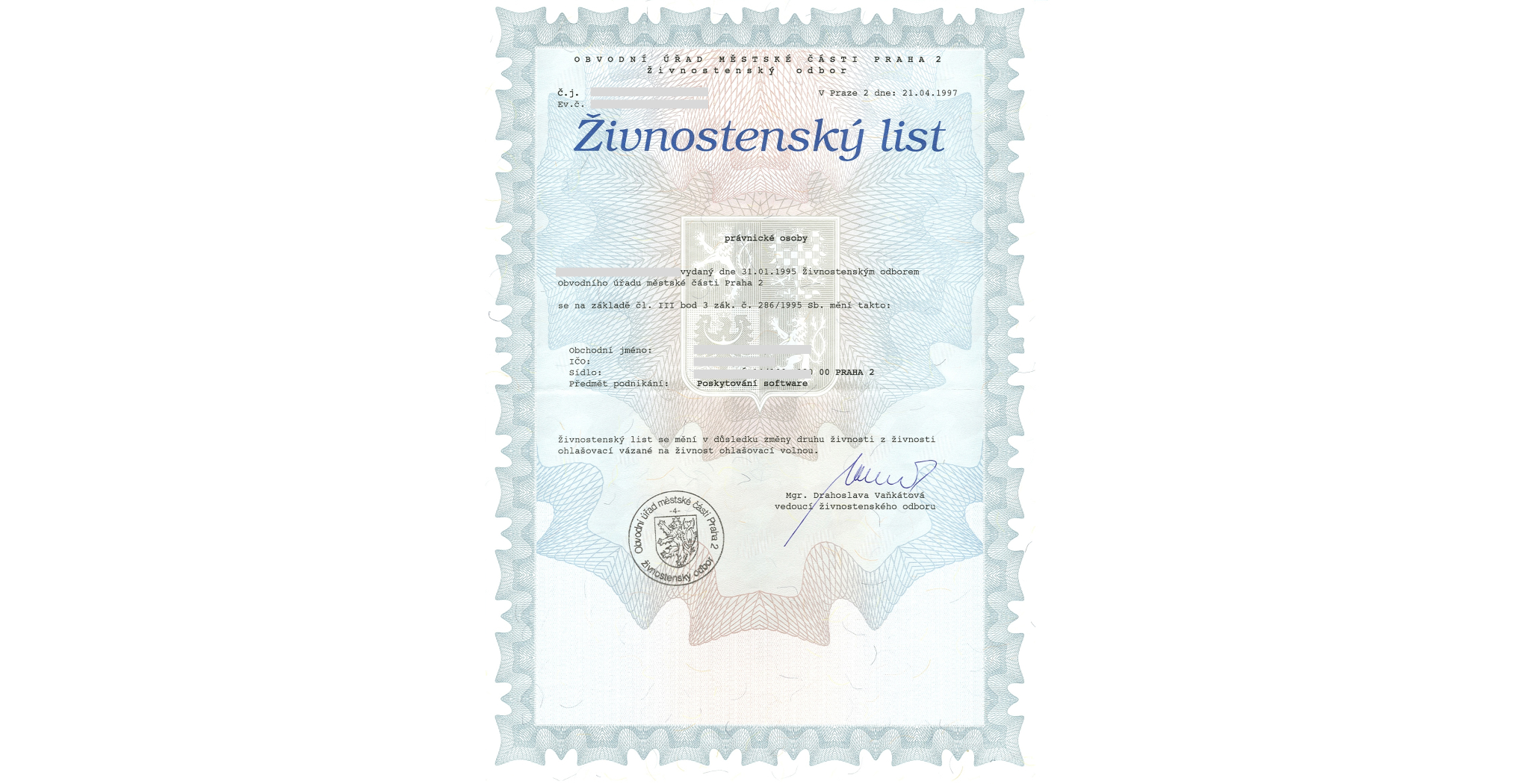 Пример Торговой лицензии