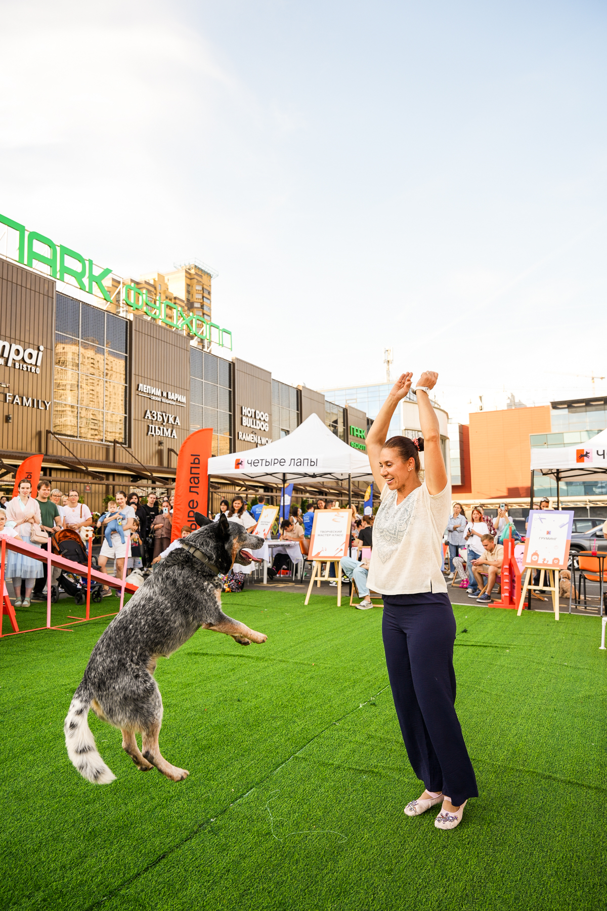 Коллаборация с брендом «Четыре Лапы»