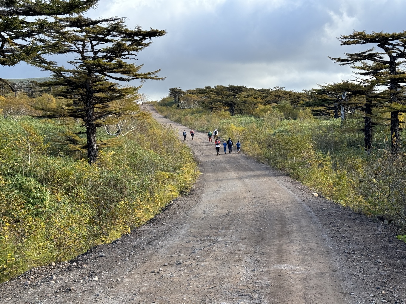 Фото беговой группы