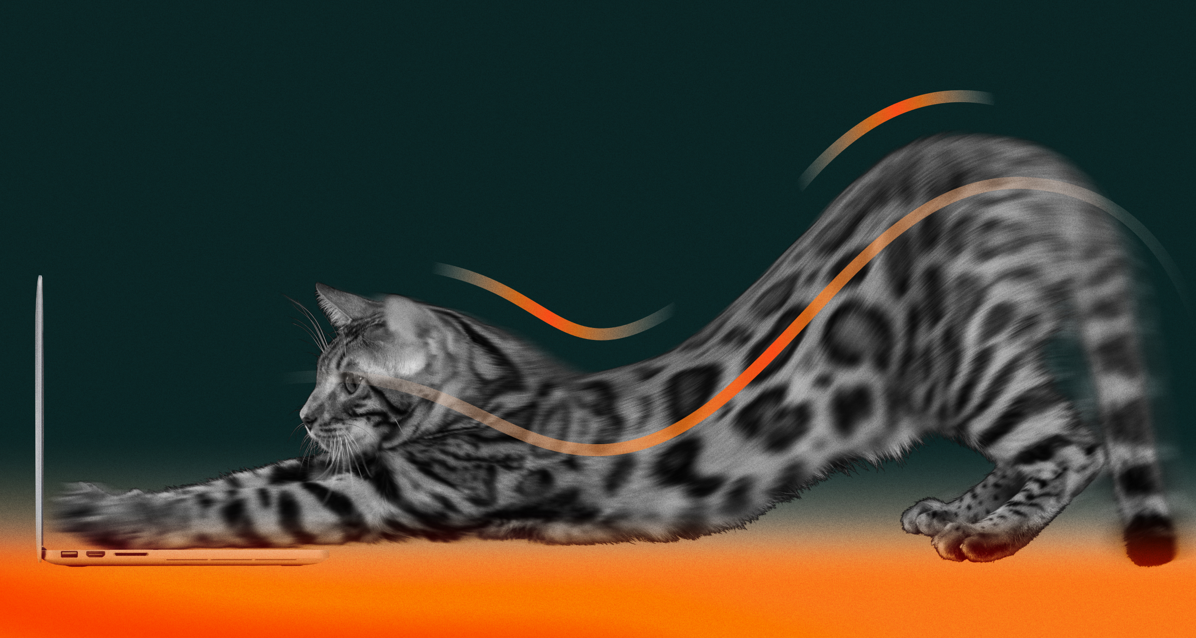 Какие упражнения для спины помогут размяться при сидячей работе