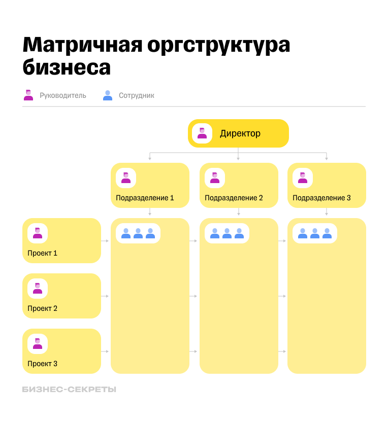 Пример матричной оргструктуры