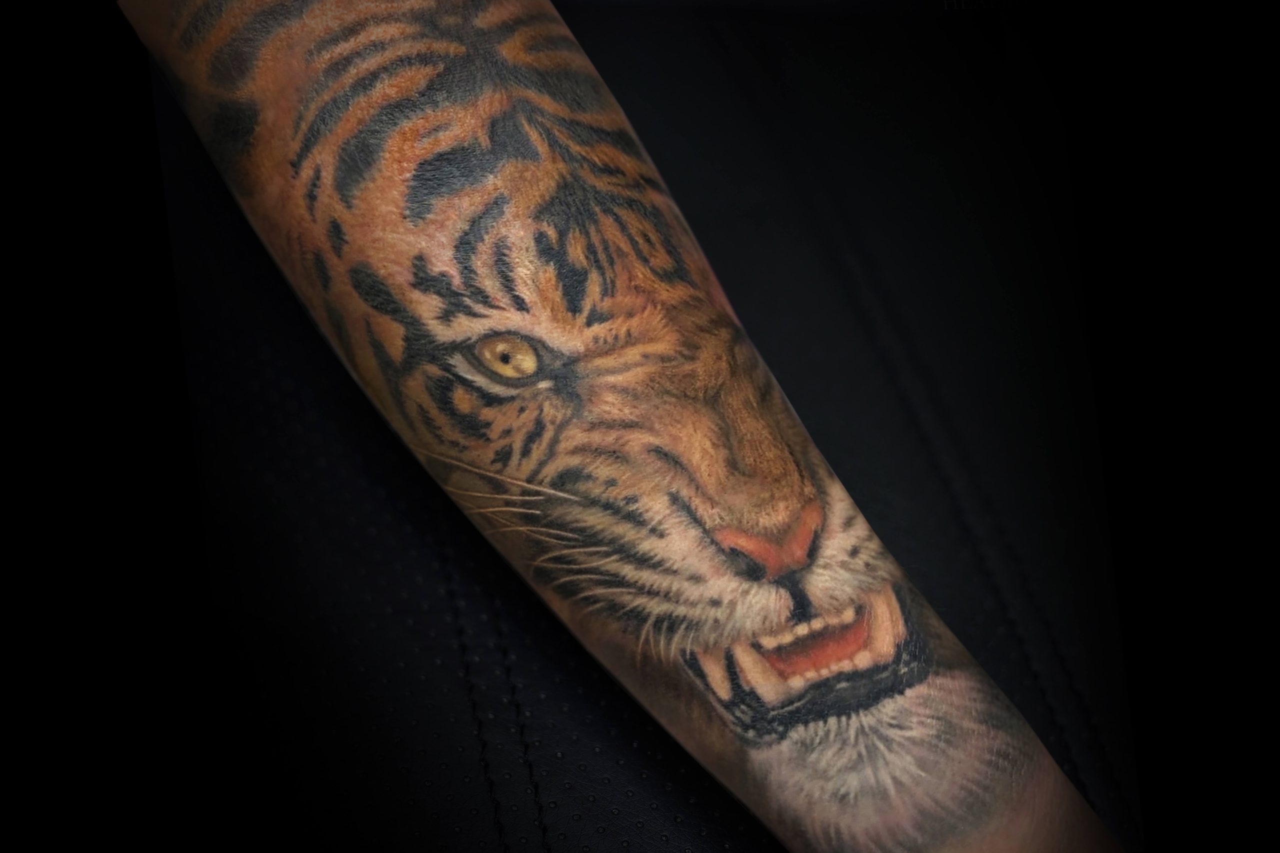 Работа Анастасии Волковой