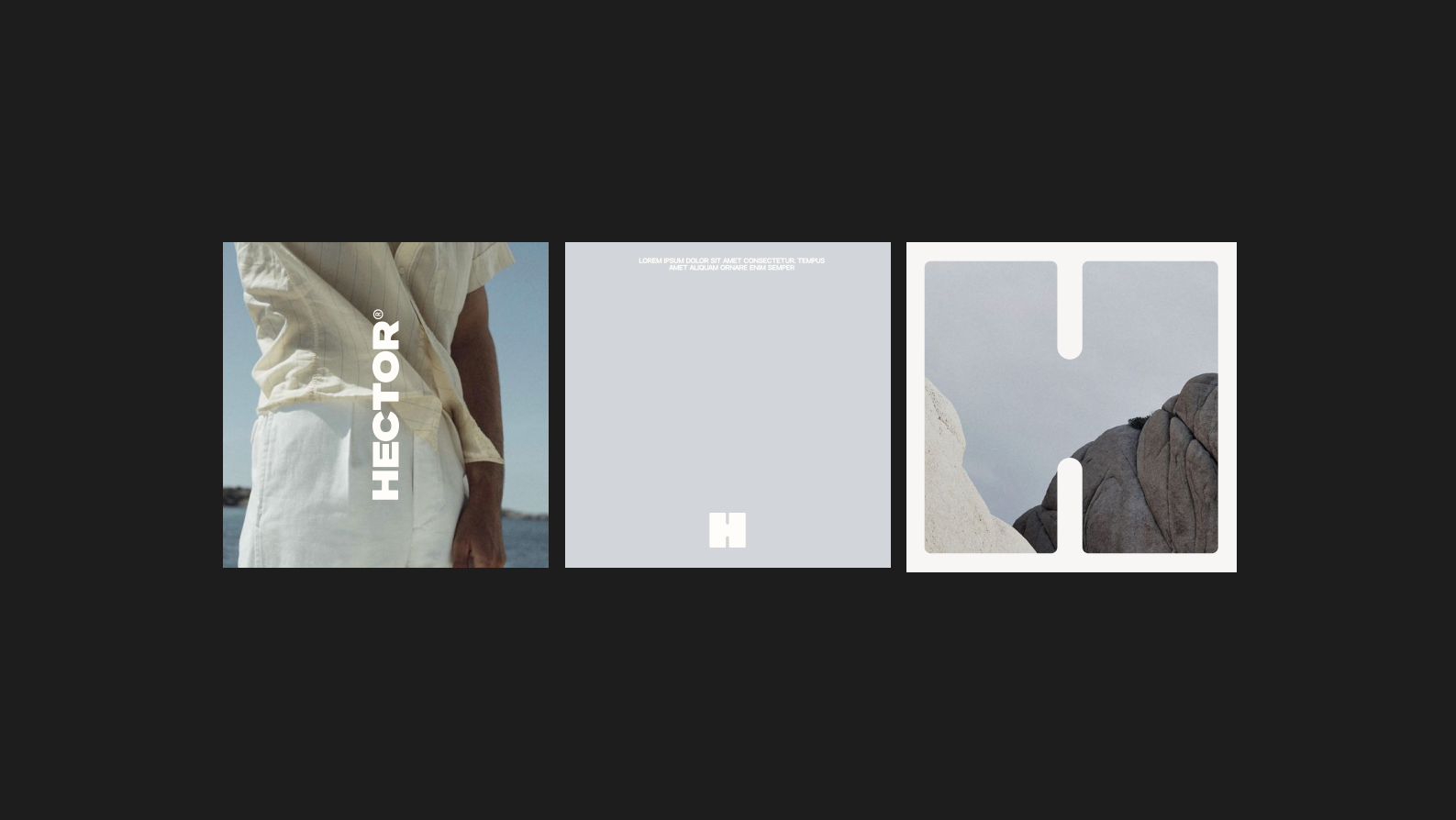 Брендбук бренда мужского нижнего белья