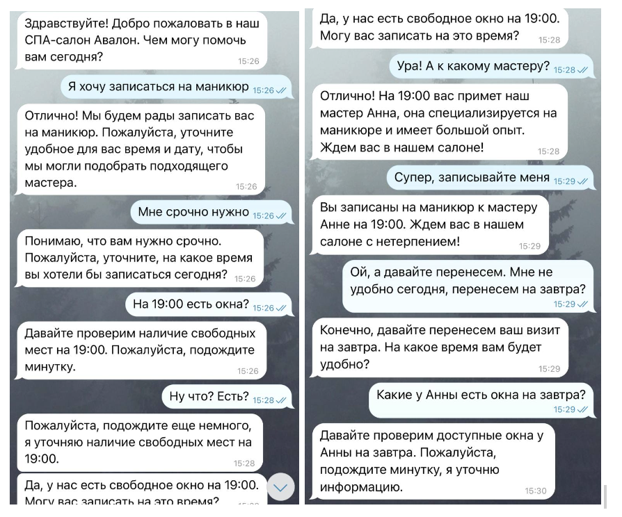 Скриншот переписки ИИ-агента с клиентом