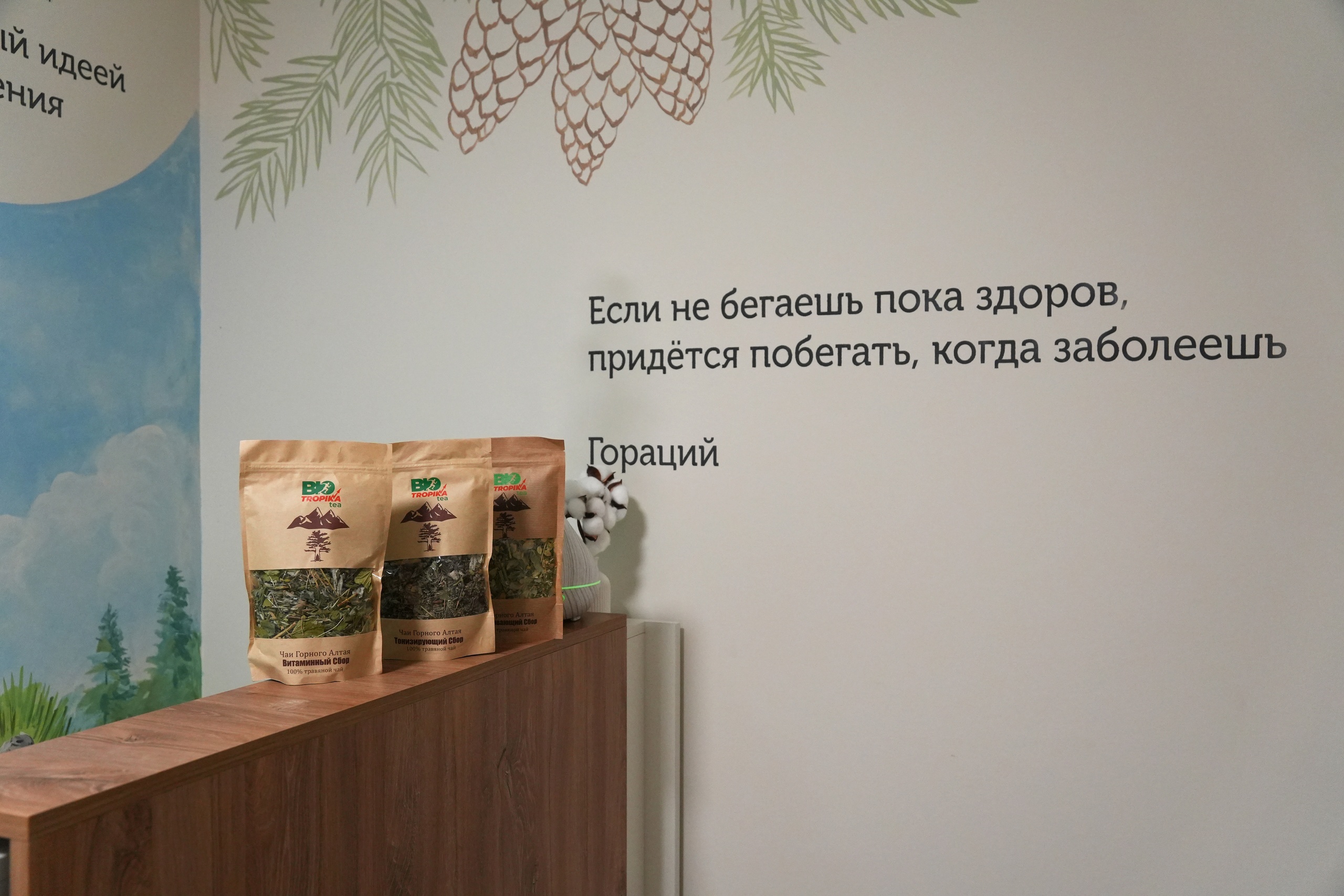 Стена возле стойки администратора