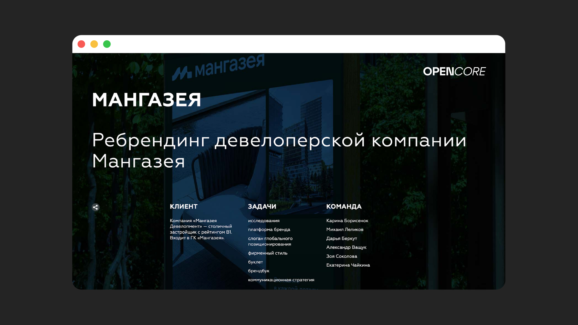 Пример кейса на сайте Opencore