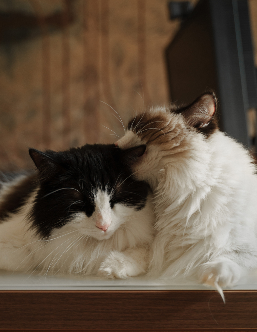 Важно научиться понимать свои границы