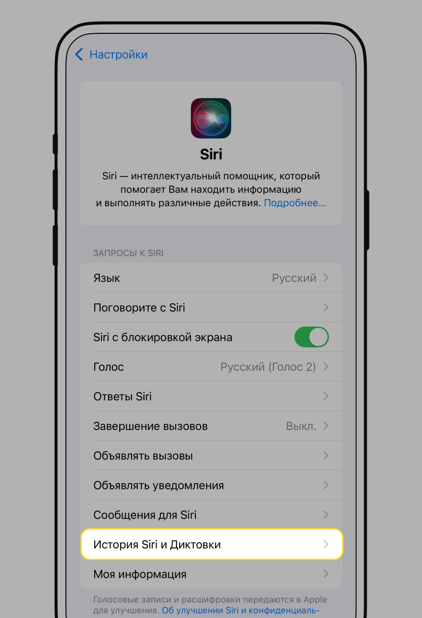 Как удалить кэш Siri на iPhone