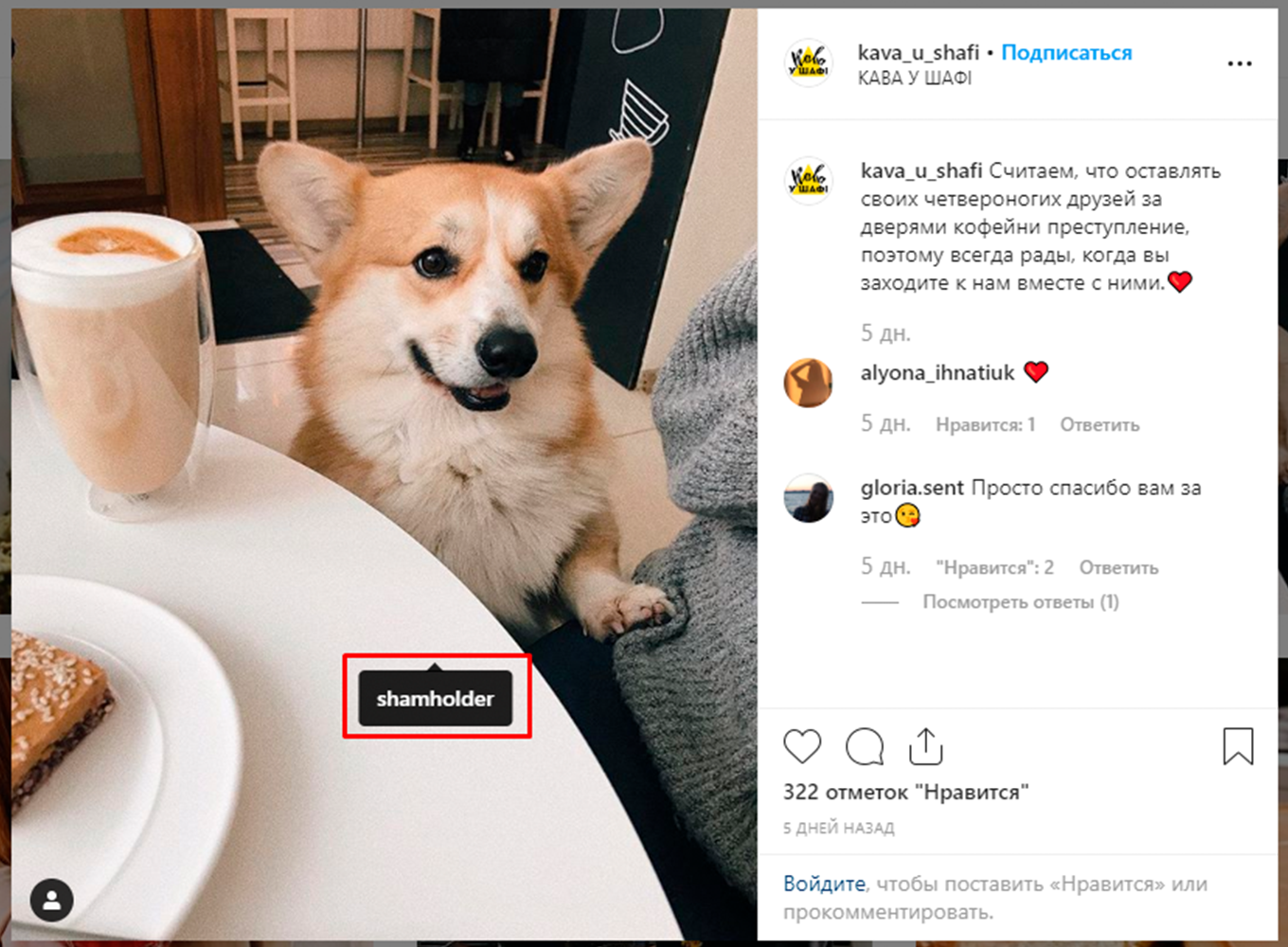 Пример пользовательского контента