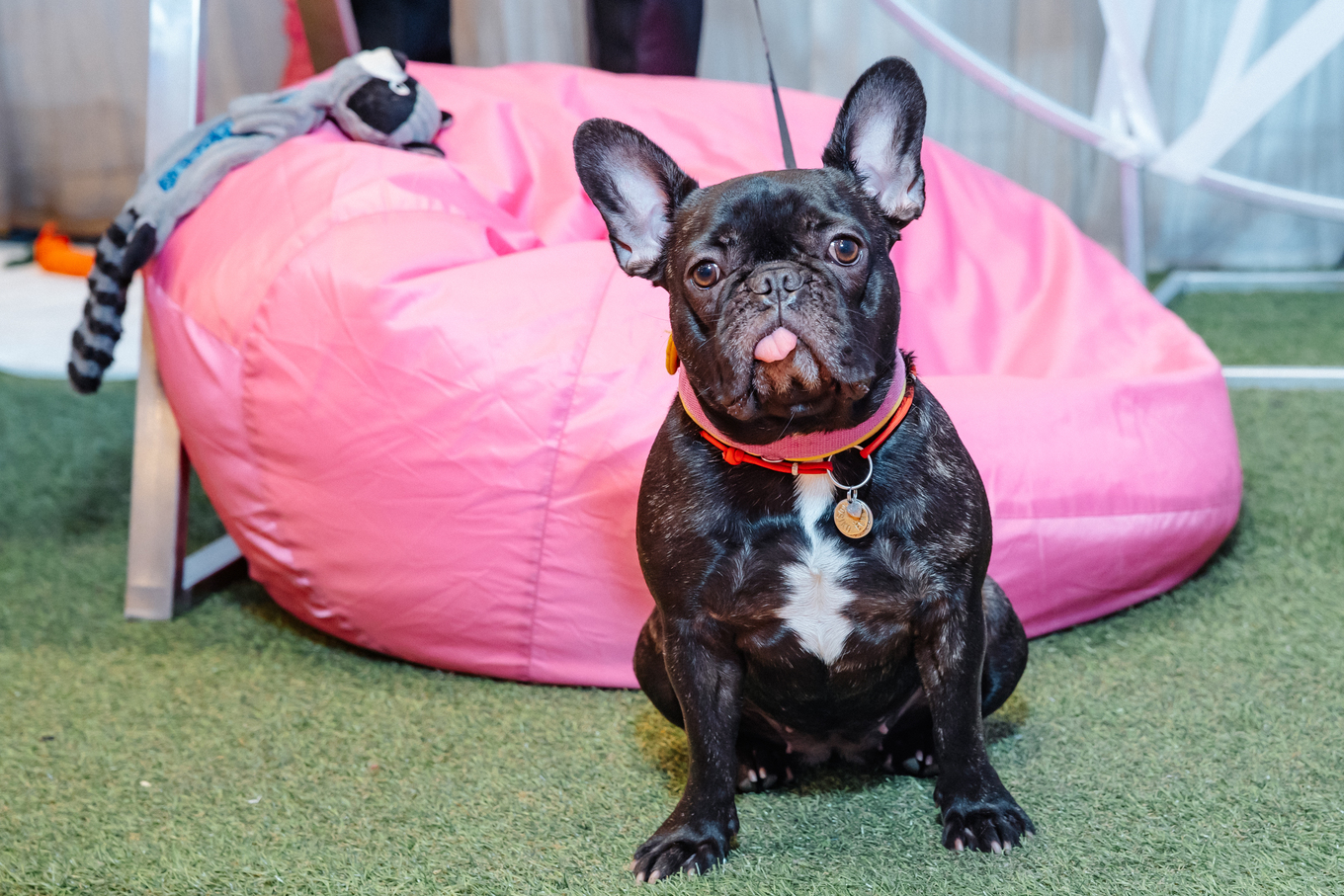 Главный участник выставки