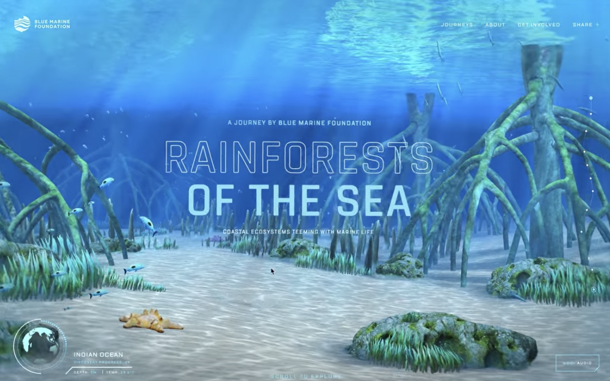Визуальный сторителлинг в лендинге организации Blue Marine