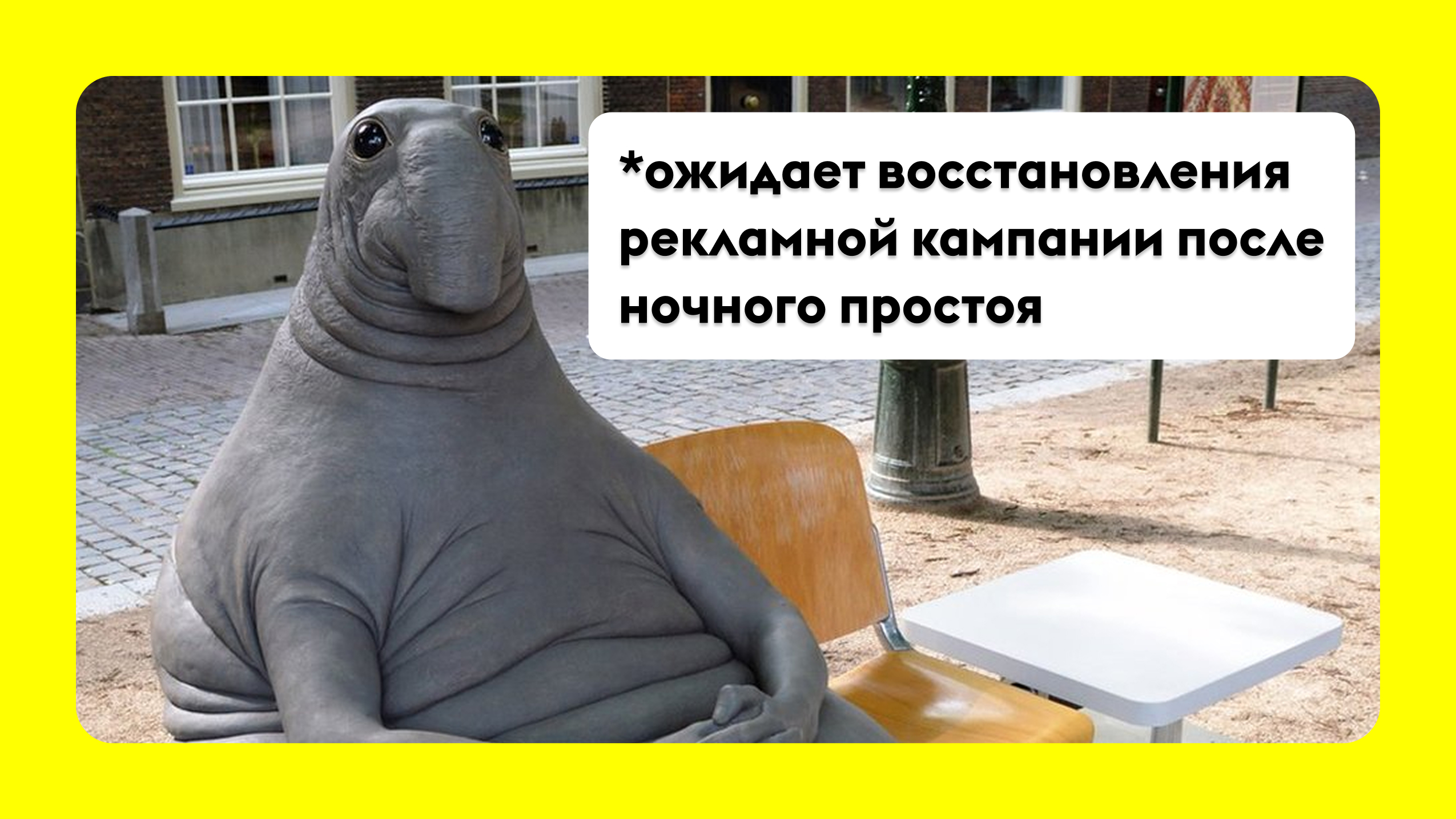 Реклама, которая спит, не зарабатывает: сколько стоит одна ночь без показов?