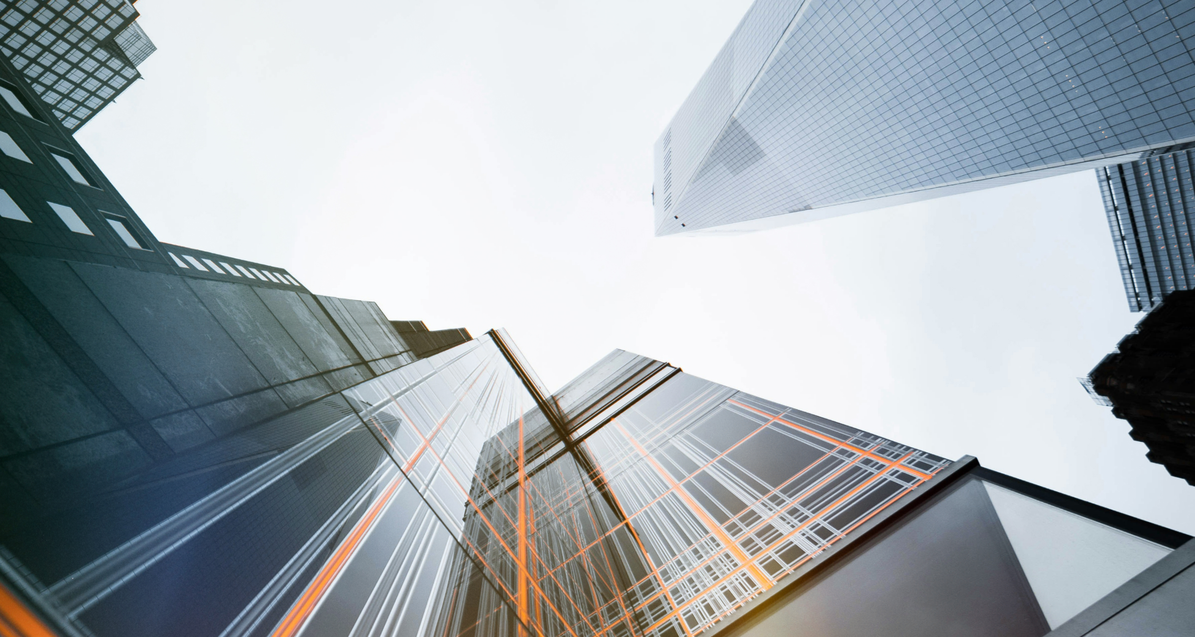 Как компании или ИП участвовать в торгах по банкротству