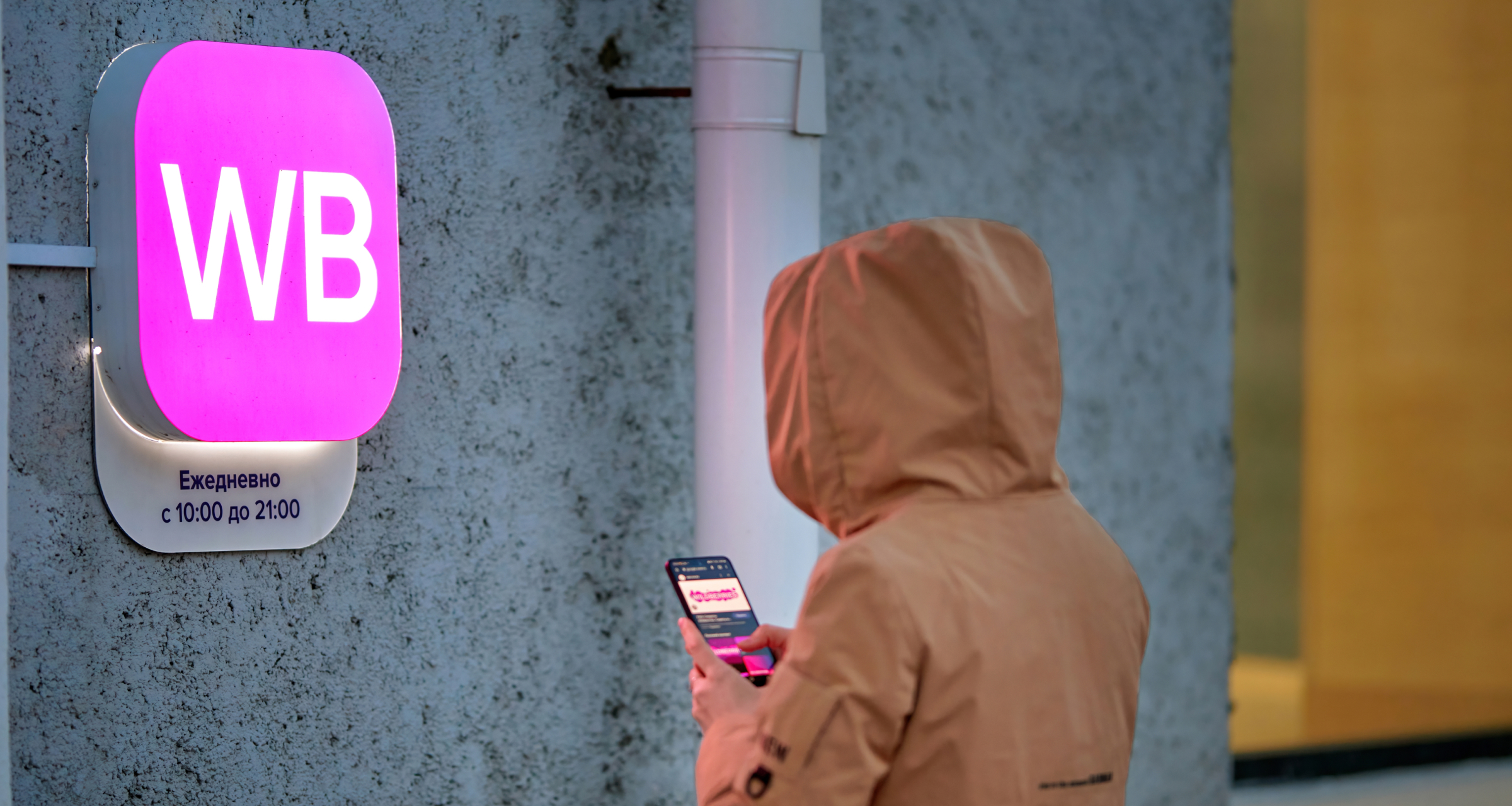 Wibes запустит стримы с товарами на Wildberries