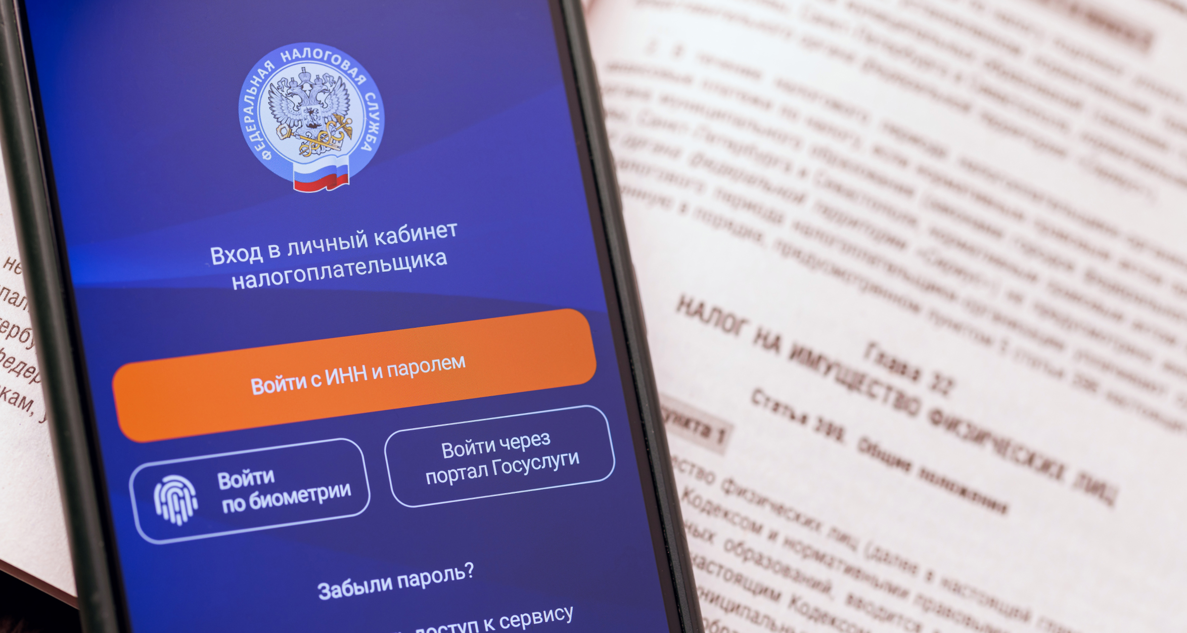 ИП смогут представлять декларации по УСН через личный кабинет налогоплательщика