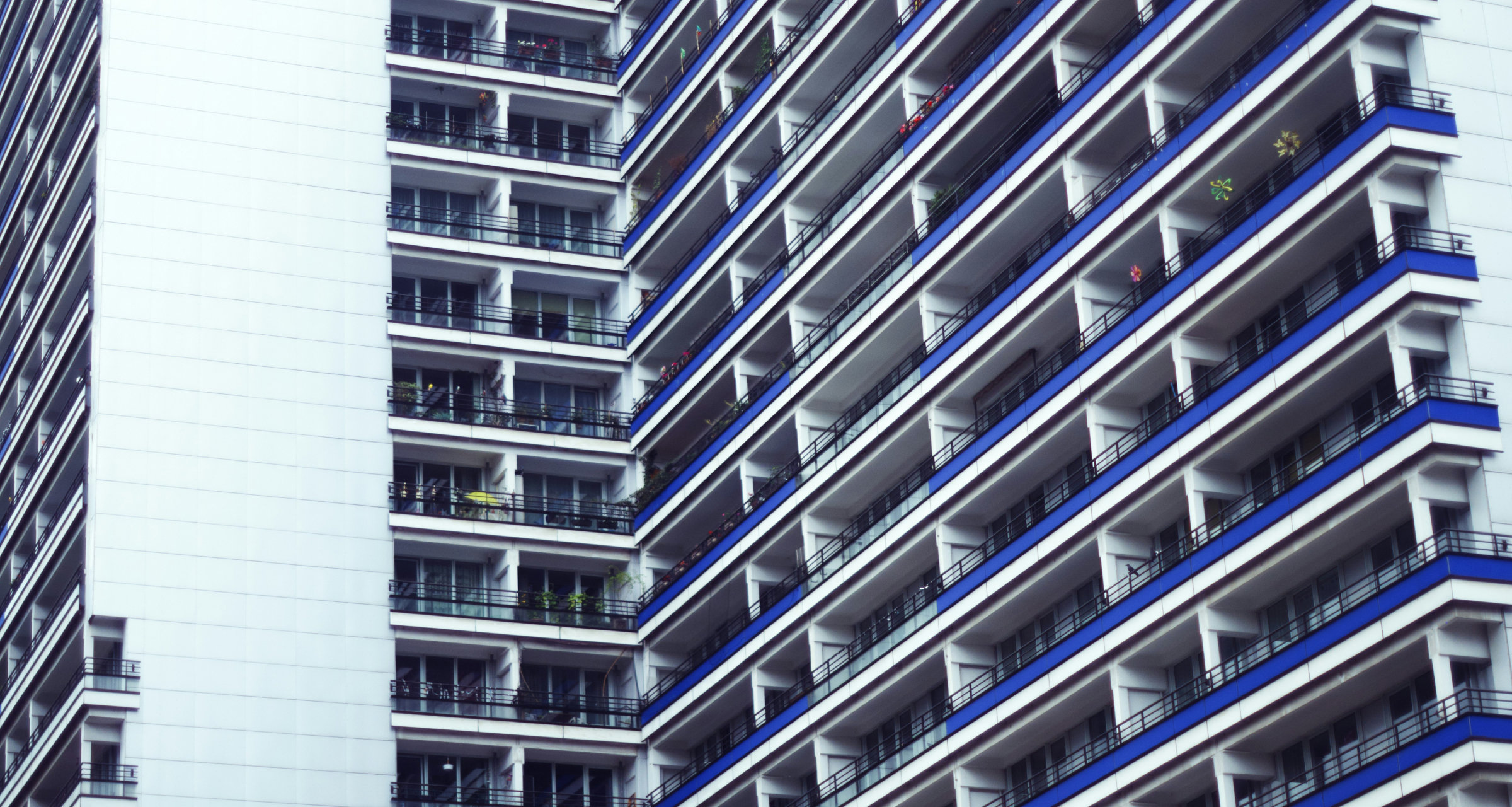 Компании до 20 сентября должны подтвердить участие в программе ИТ-ипотеки