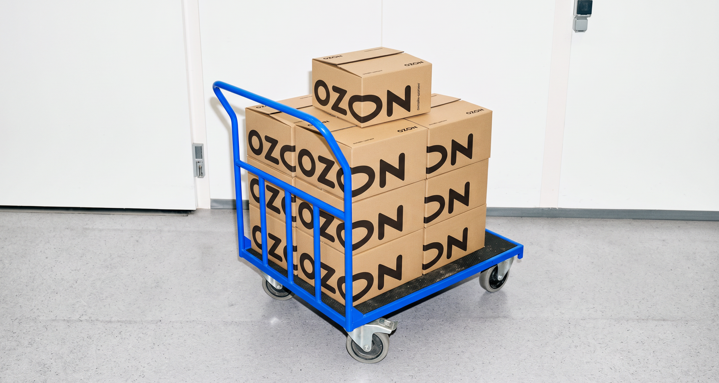 Ozon запустил умный таргетинг для рекламы продавцов