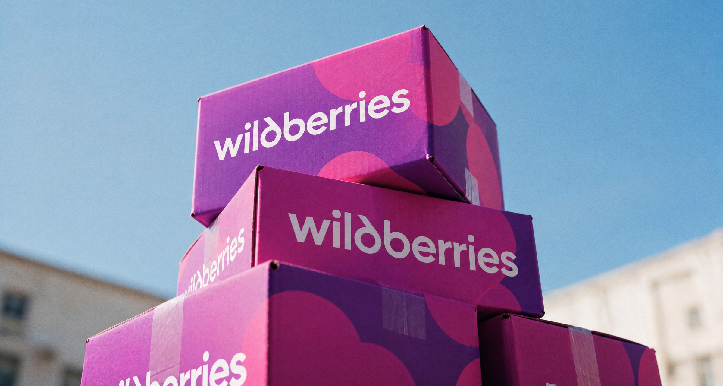 Селлеры просят кабмин взять на контроль ситуацию с задержкой выплат Wildberries