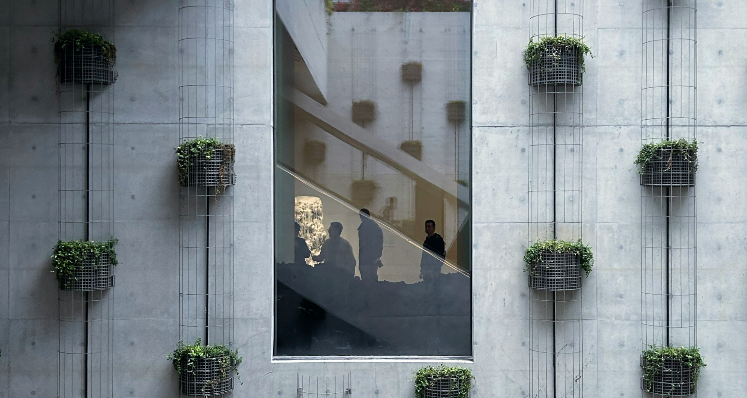 Как ESG-отчетность становится инструментом стратегического роста для среднего бизнеса