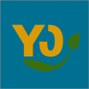 Yoday