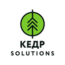 КЕДР Solutions