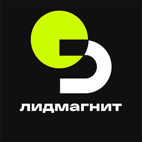 Лидмагнит