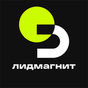 Лидмагнит