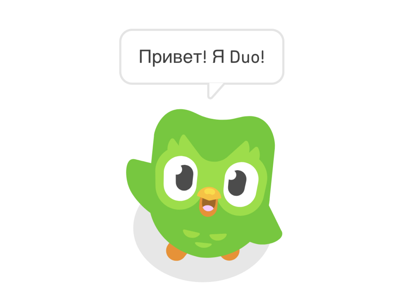 Сова из Дуолинго